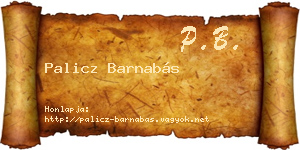 Palicz Barnabás névjegykártya